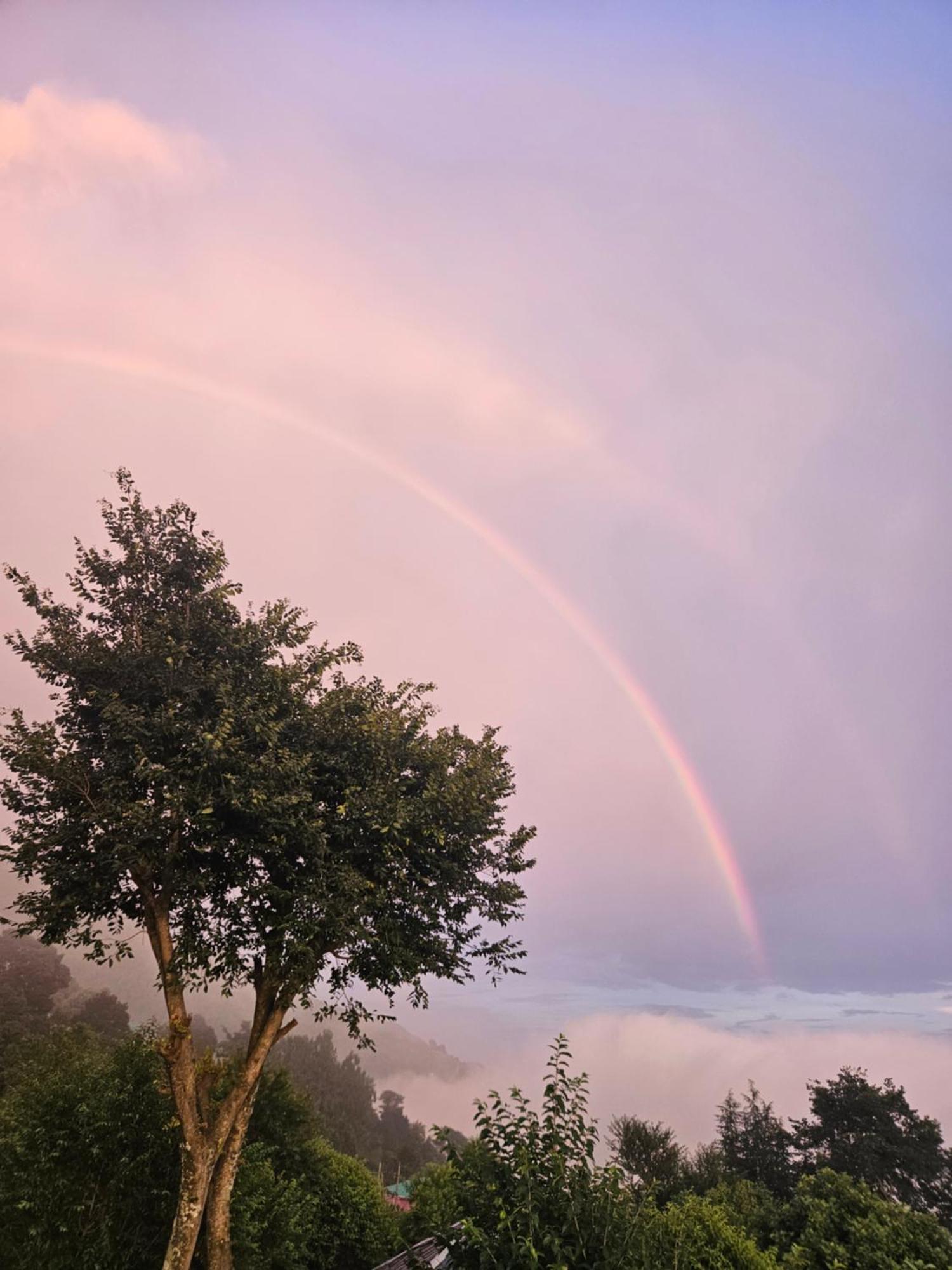 Dadi Homestay 360 Mountain View Bīr Zewnętrze zdjęcie